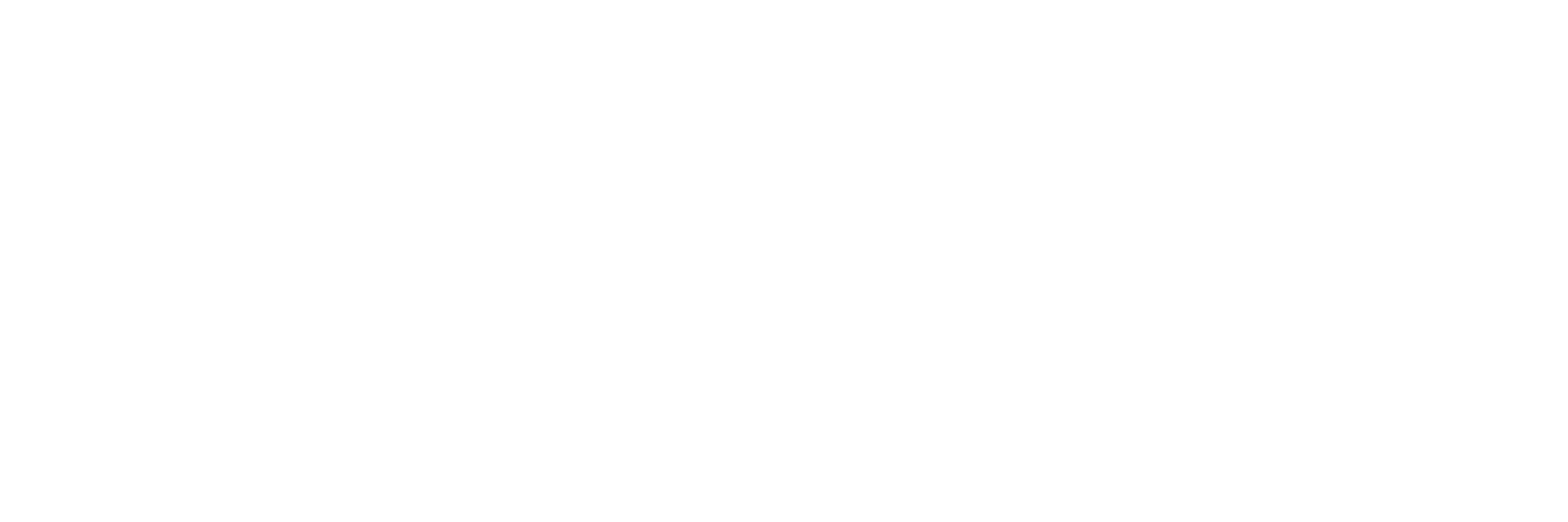 MENA PROJECT LOGO copy